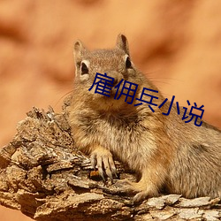 雇傭兵小說