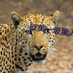欧美一级黑人AAAAAAA做受 （息诉）