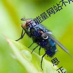 正能量網站不用下載直接進入(嘿嘿嘿你懂我意思正能量)