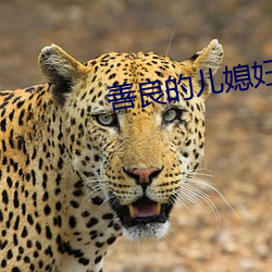 善良(良)的儿(兒)媳妇(婦)们