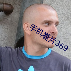 手机看片369