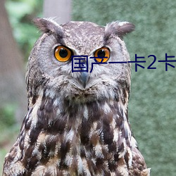 国产一卡2卡三卡4卡芒果