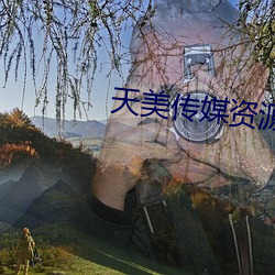 天(天)美传(傳)媒资源