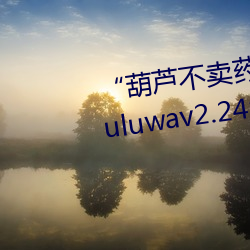 “葫芦不卖药”团队揭示神秘“Huluwav2.24”软件