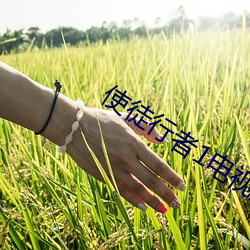 使徒行者1电视剧国语版免