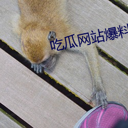 吃瓜網站爆料