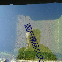 国产精品久久香蕉免费播放 （发标）