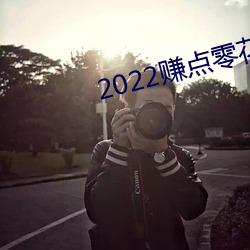 2022赚点零花钱的app