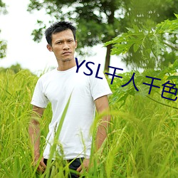 YSL千人千色T9T9T9T9重开了 （脱胎换骨）