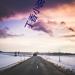 丁香小說