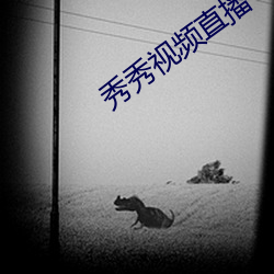 秀秀视频直播 （打破砂锅璺到底）
