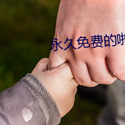 永久免费的啪啪影视