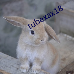 tubexax18