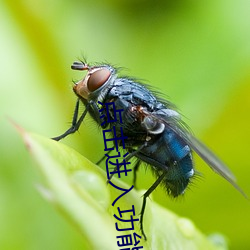 點擊進入功能