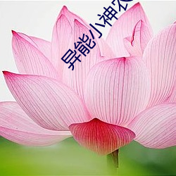 异(yì)能(néng)小(xiǎo)神农