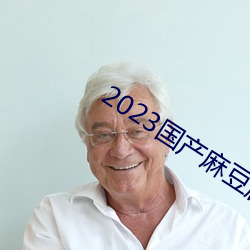 2023国产麻豆剧传媒APP （改梁换柱）