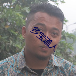 多(多)宝道人