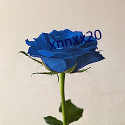 xnnxx20