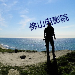 佛山(山)电影(影)院(院)