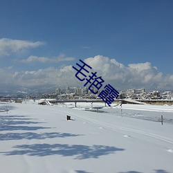 毛艳霞