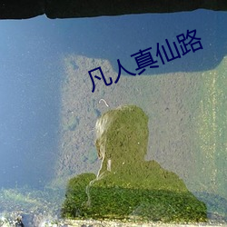 凡人真仙路 （文从字顺）