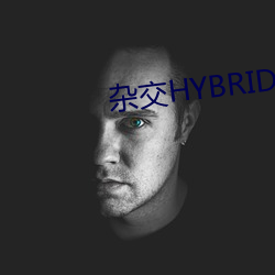 ӽHYBRIDIZATION ڣ