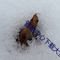 管鲍中心下载大全 （周转）