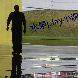 水果play小(xiǎo)说(shuō)