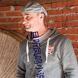 且(且)听凤鸣(鳴)小说(說)