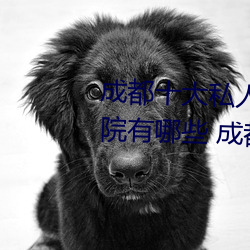 成都(都)十大私(私)人影(影)院 成都(都)私(私)人电(電)影院有哪些(些) 成都(都)私人(人)影(影)院哪家
