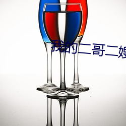 我的二哥二嫂电视剧分集