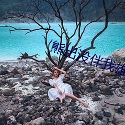 熊出没伴我雄(xióng)心电影观看(kàn)免(miǎn)