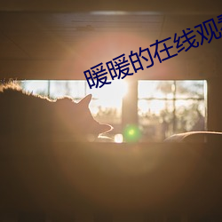 暖(暖)暖(暖)的(的)在线(線)观(觀)看(看)免费高清