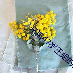 凯时|AG(AsiaGaming)优质运营商