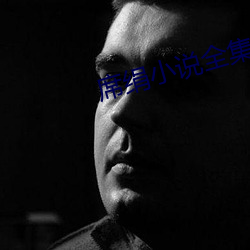 席絹小說全集