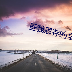 匪我(wǒ)思存(cún)的全部小(xiǎo)说