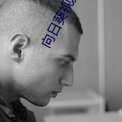 向日葵视频下载污最新在线观看