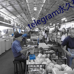 telegram永久有效参数