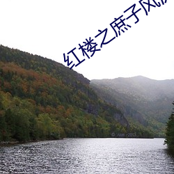 红楼之庶子风流