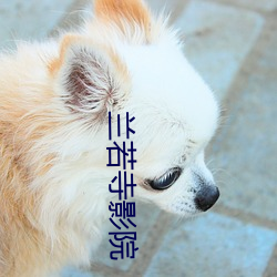 兰若寺影(yǐng)院