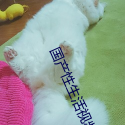 国产性生活视频自拍
