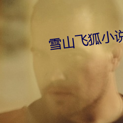雪山飛狐小說