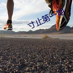 寸止第(第)一(一)期