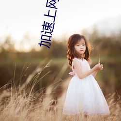 加速上网、无(wú)需等待:秘密通(tōng)道进入地(dì)址3秒自动打开 瞬间畅(chàng)