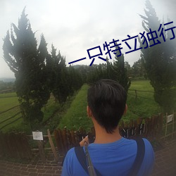 一只特立獨行的豬在線閱讀