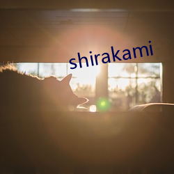 shirakami