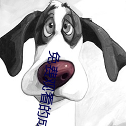 免费(fèi)观看的成(chéng)年(nián)网站推荐