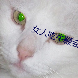 女人吃牛(牛)鞭(鞭)会水(水)多点(點)嘛