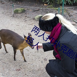 两人打扑克剧烈运(運)动又疼又叫(叫)超(超)级懂年轻人