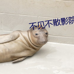 不見不散影院